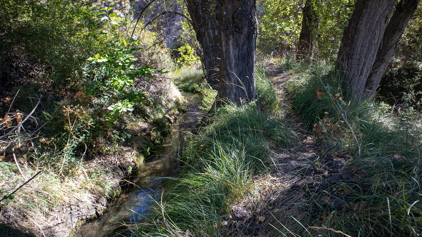 Trampelpfad am Canal de los Avises