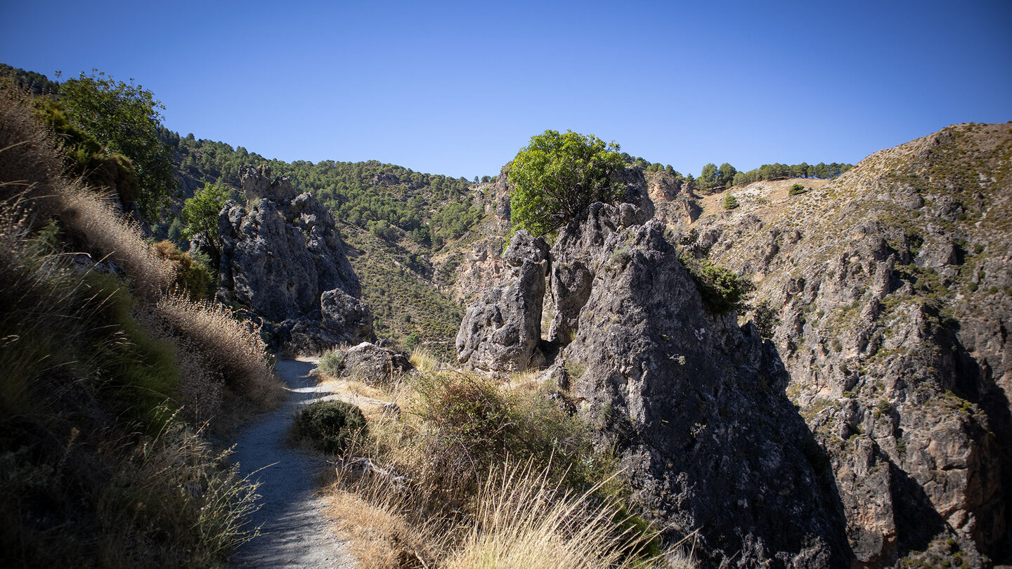 Wanderpfad Camino de la Solana