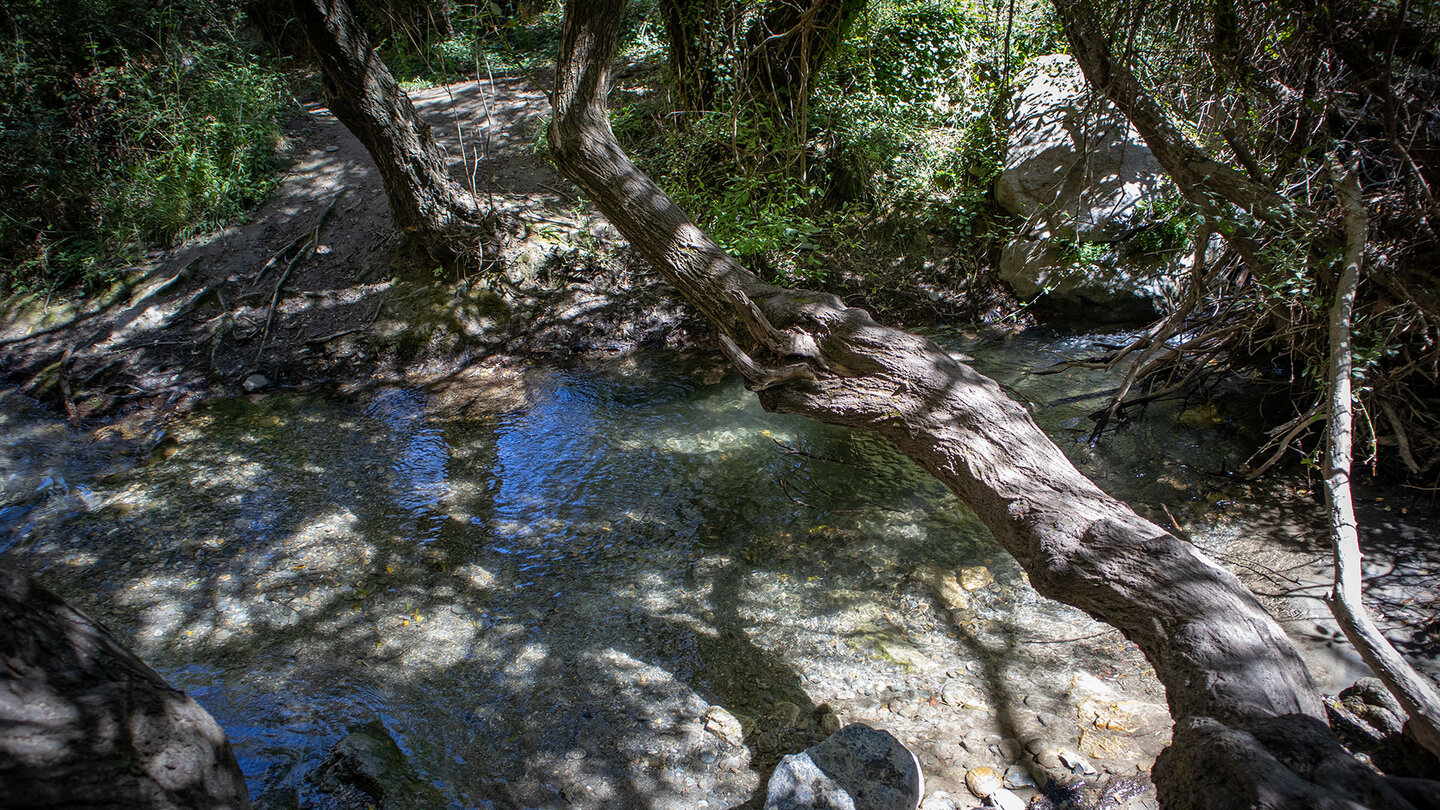 Bachlauf des Río Monachil