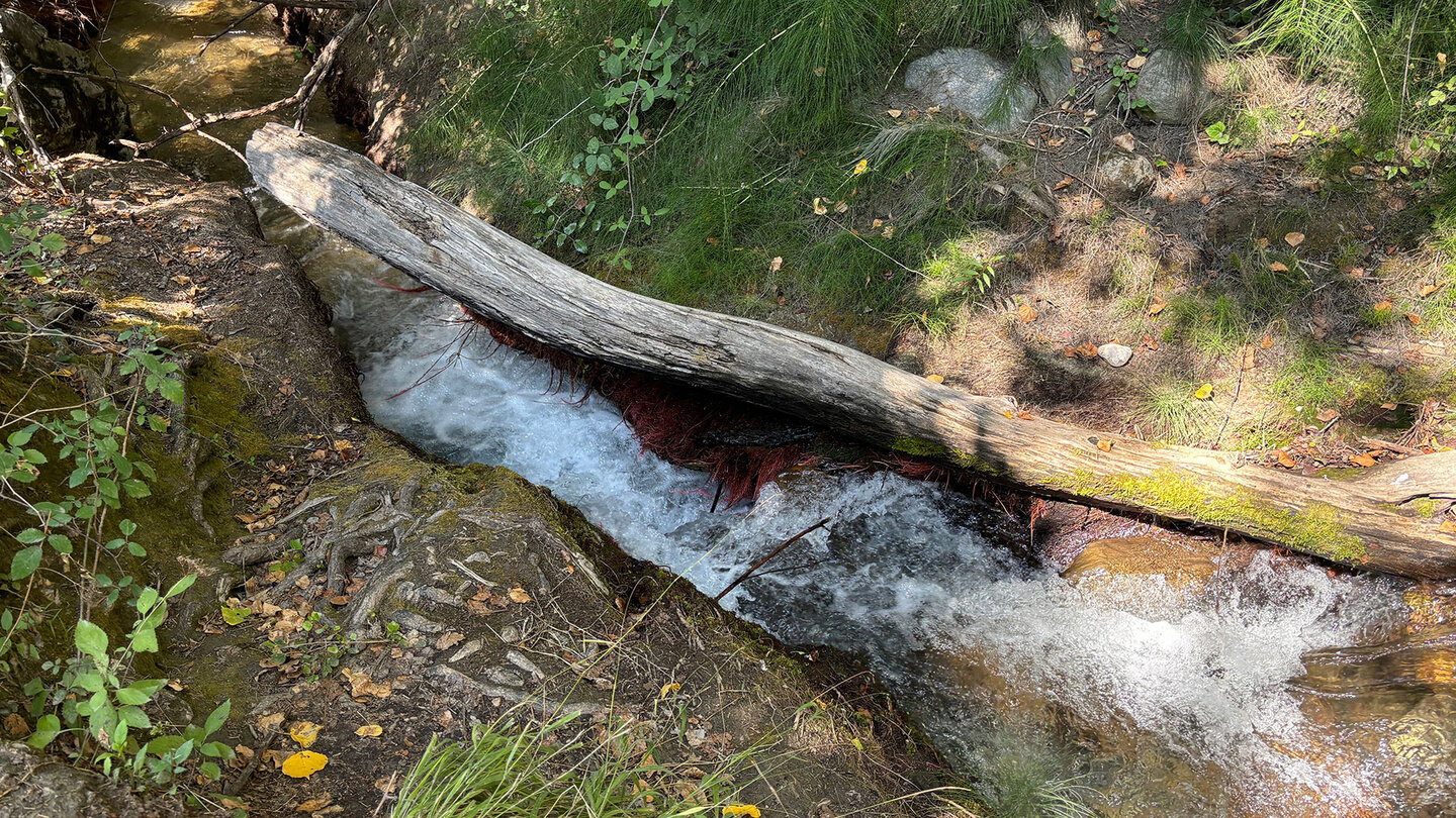 Wasserlauf am Río Monachil