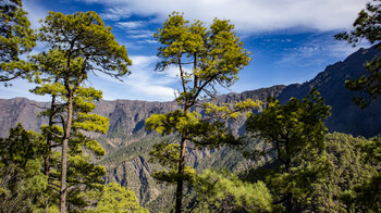 Panorama über die Caldera de Taburiente vom Wanderweg zum Mirador del Morro de los Gatos