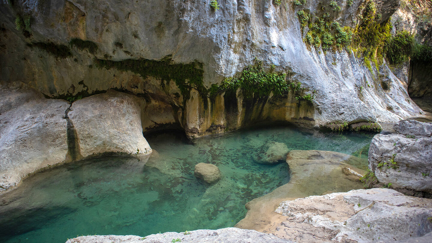 felsiges Bachbett des Río Borosa in der Cerrada de Elías