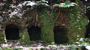 bearbeitete Steinstrukturen im Nebelwald El Cedro