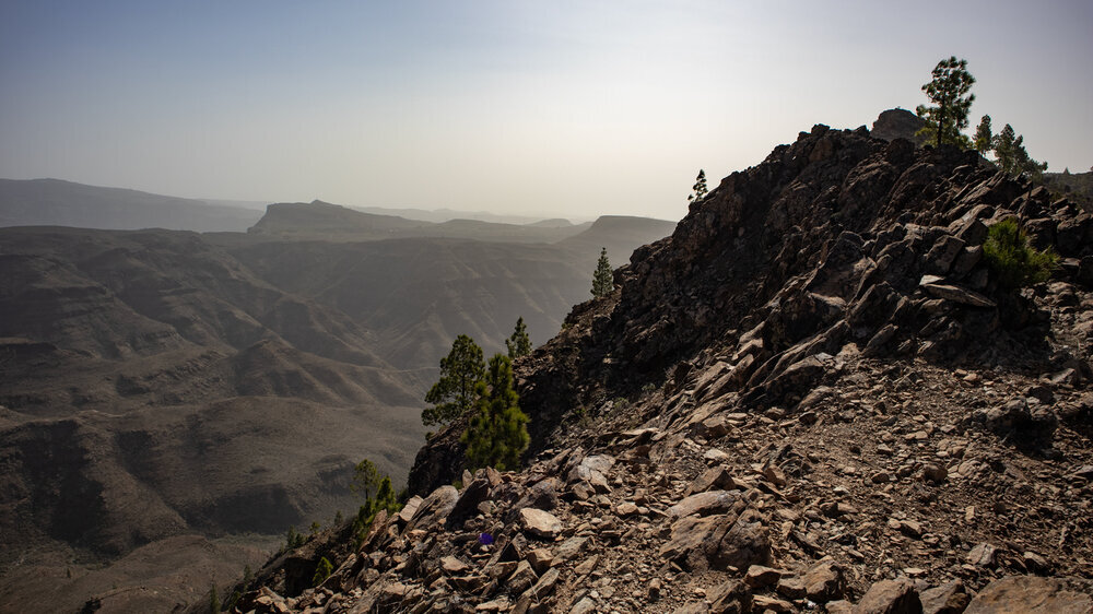 Blick ins Barranco de Tauro