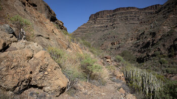 Wanderpfad durch die Schlucht Barranco de Tauro