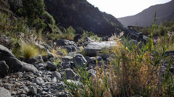 Bachbett im Barranco de Tauro