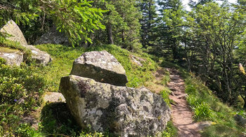 Wanderpfad zu den Spitzfelsen