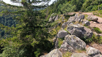 Wanderweg entlang der Spitzfelsen