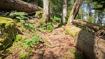 Wanderroute zu den Hirschsteinen