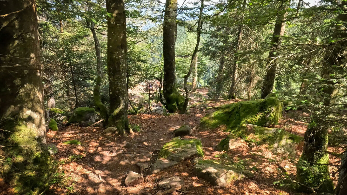 Aussichts- und Rastplatz  Belvédère des Hirschsteine