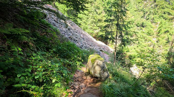 Wanderweg durch die Blockhalde bei Baerenbach