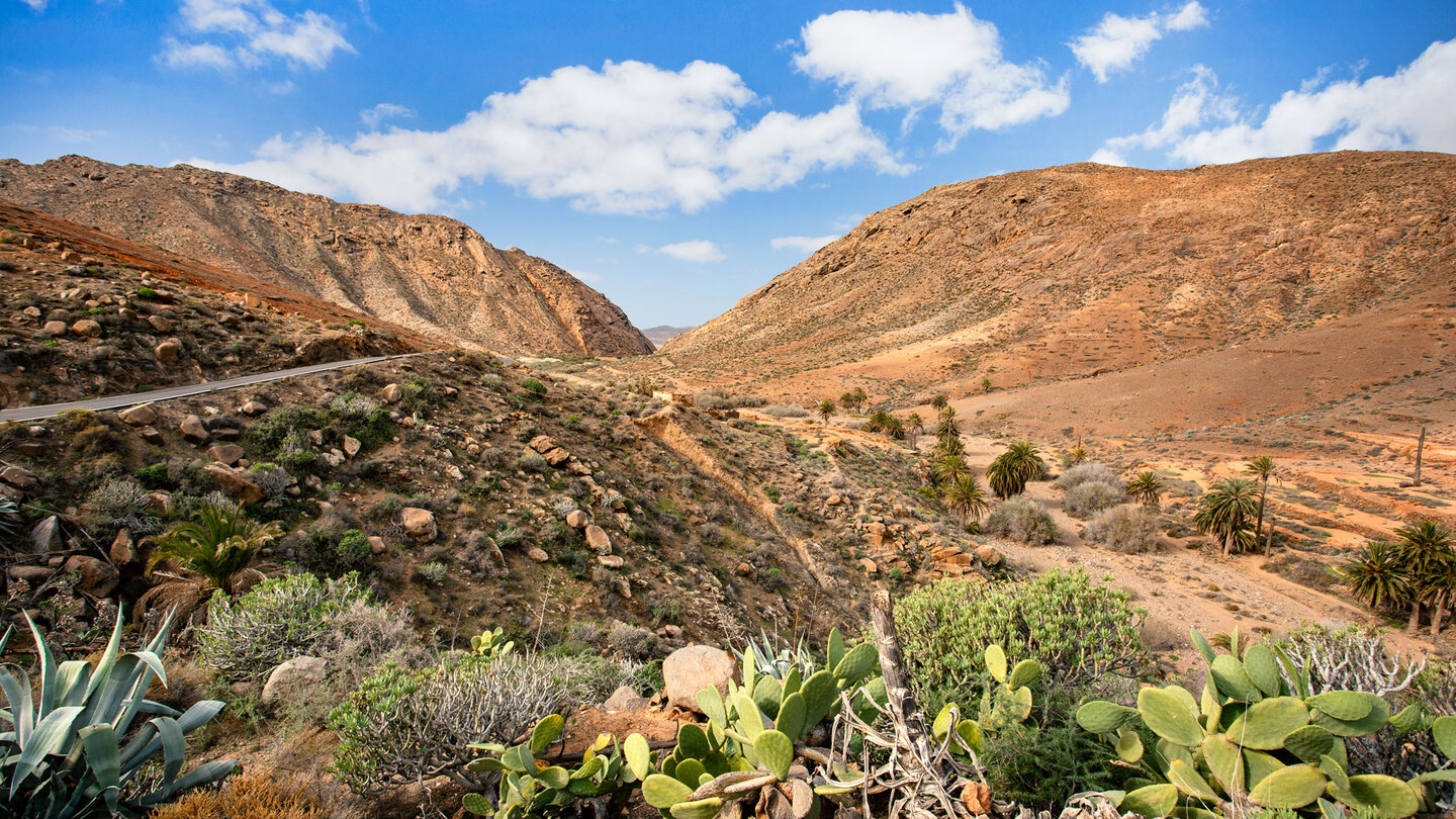 Wanderung entlang entlang der Schlucht Barranco de las Peñitas bei Vega de Río Palmas