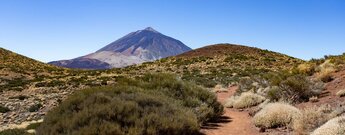 Ausblick von Wanderweg 37 Cerrillar – La Carnicería