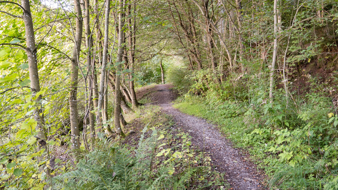 idyllischer Wanderpfad Richtung Kendlesbrunnen