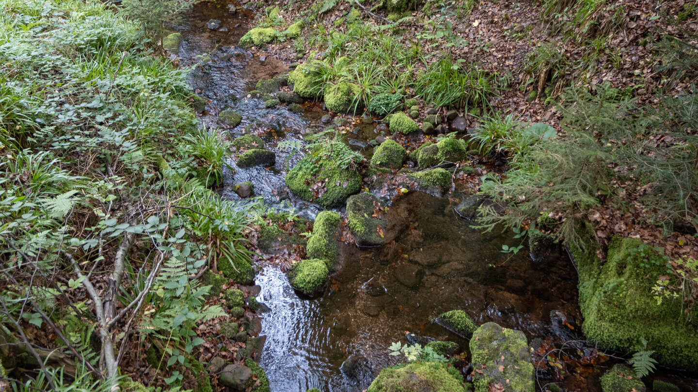 der Bachlauf des Reichenbächles