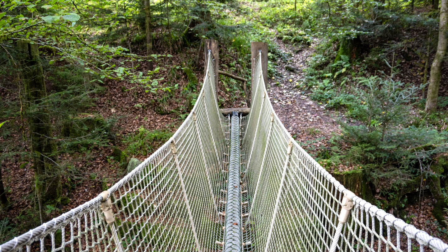 Hängebrücke übers Reichenbächle