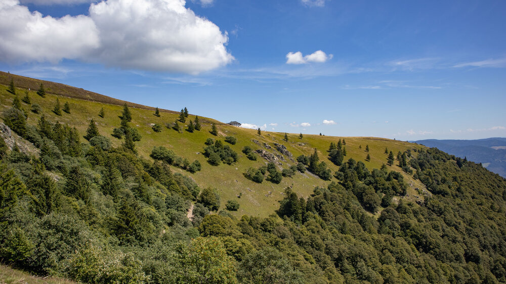 Blick entlang der Bergflanke zum Belchenhaus