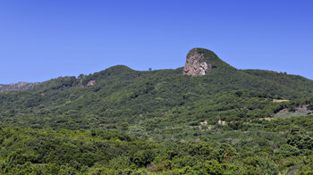 Roque de Niquiomo