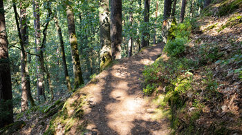 Wanderweg zum Westlichen Schützenfels