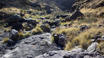 das Bachbett im Barranco del Risco