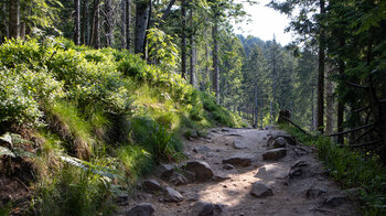 Wanderroute zwischen Seibels Eckle und Mummelsee