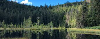 der Ausblick über den Buhlbachsee ist ein Highlight der 2. Etappe des Seensteigs