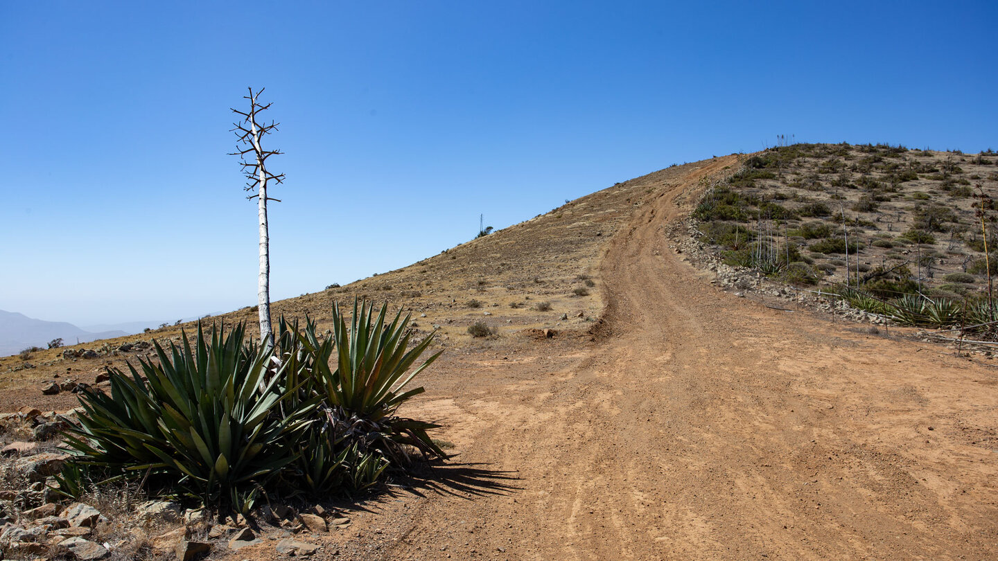 Wanderweg entlang der Betancuria umgebenden Bergrücken