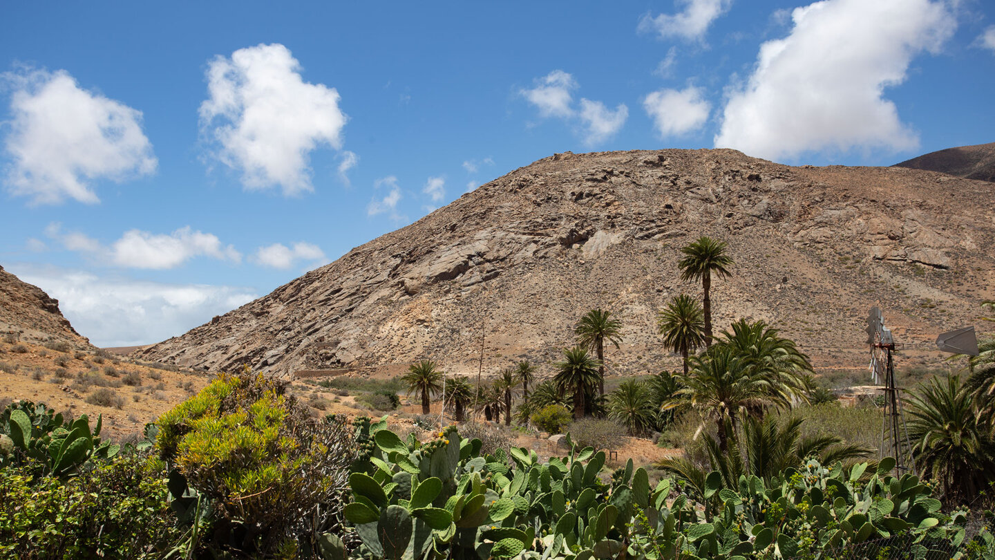 kleine Oase oberhalb des verlandeten Stausees Presa de las Peñitas