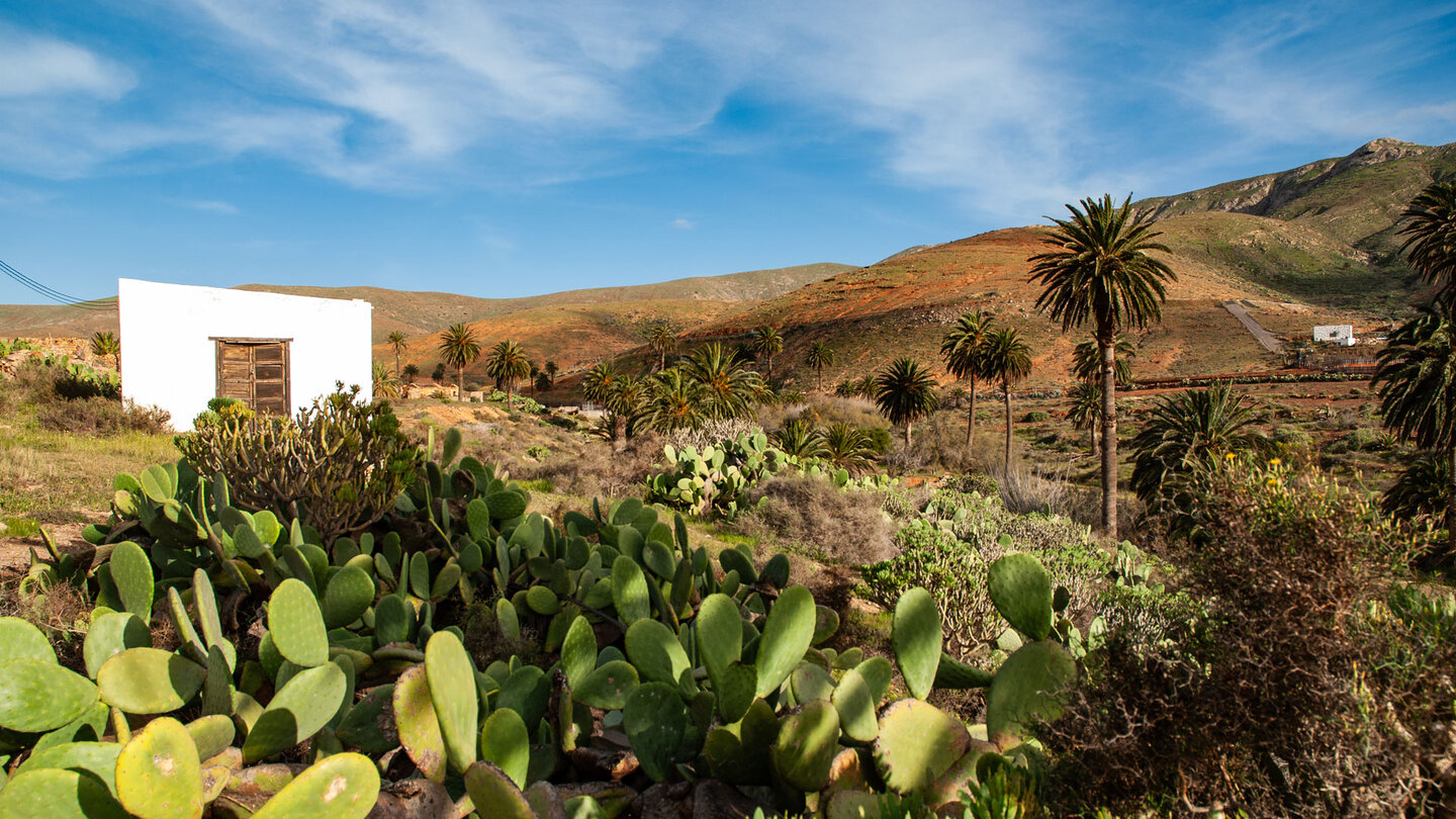 Ausblick vom Wanderweg durch das Barranco de las Peñitas