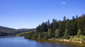 Blick über die mit Tannenwald umgebene Schwarzenbach-Talsperre