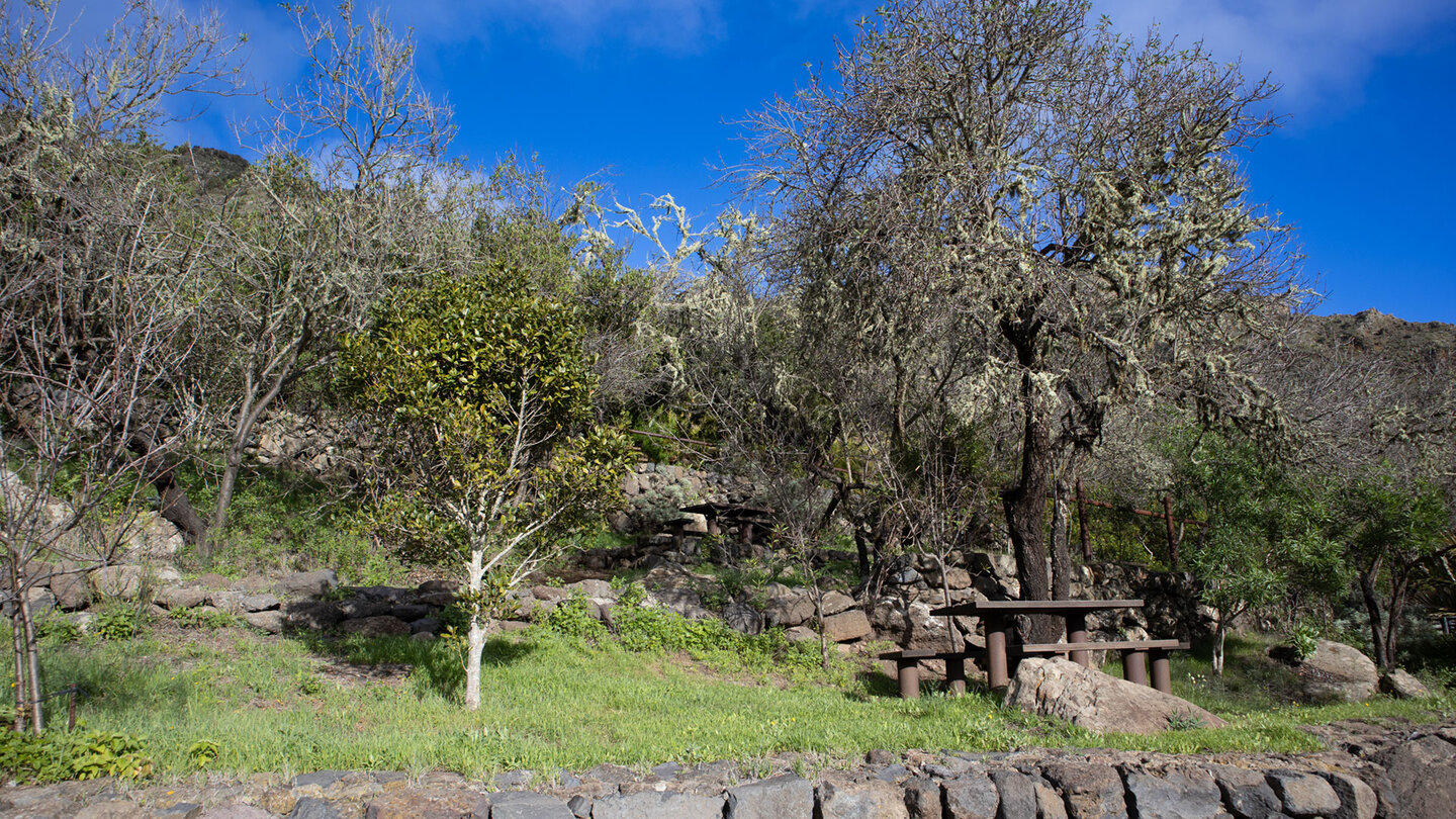 Campingplatz Los Pedregales im Landschaftspark Teno