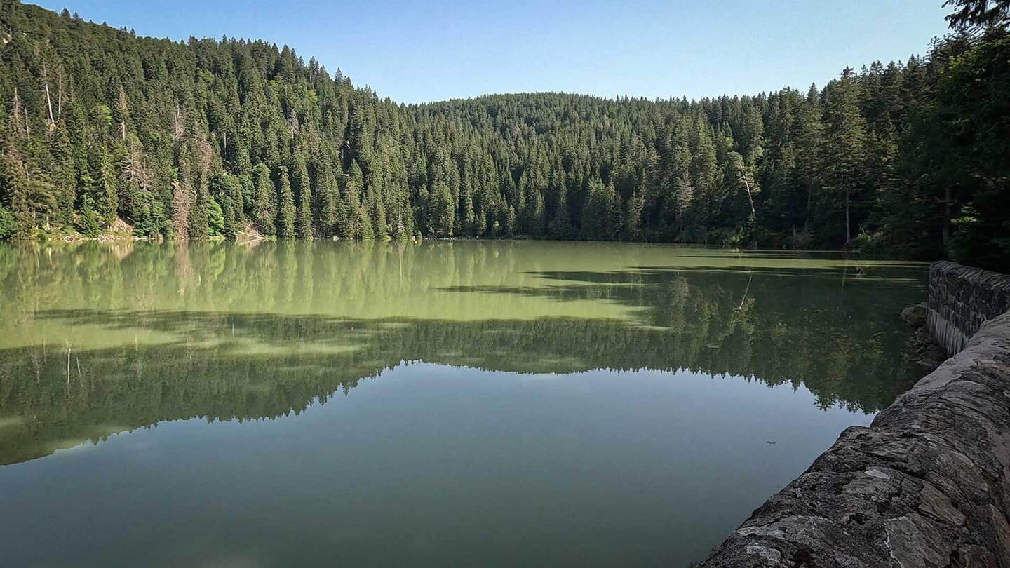 Nadelwälder reichen bis ans Ufer des Lac Vert