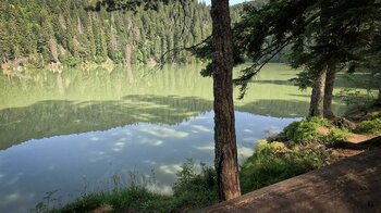 grün gefärbtes Wasser am Bergsee Lac Vert