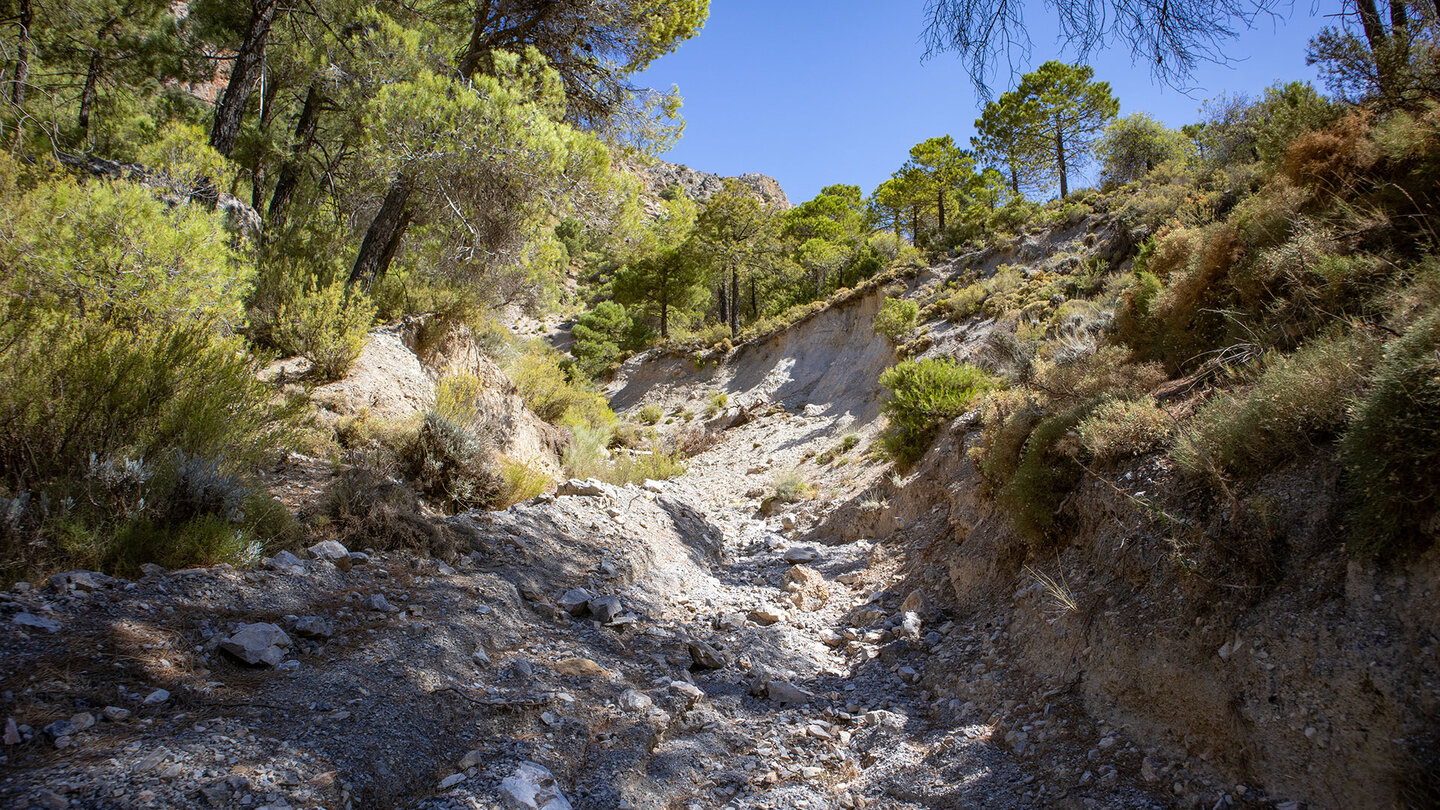 Wanderweg PR-A 21 Canal de la Espartera - Arenales del Trevenque