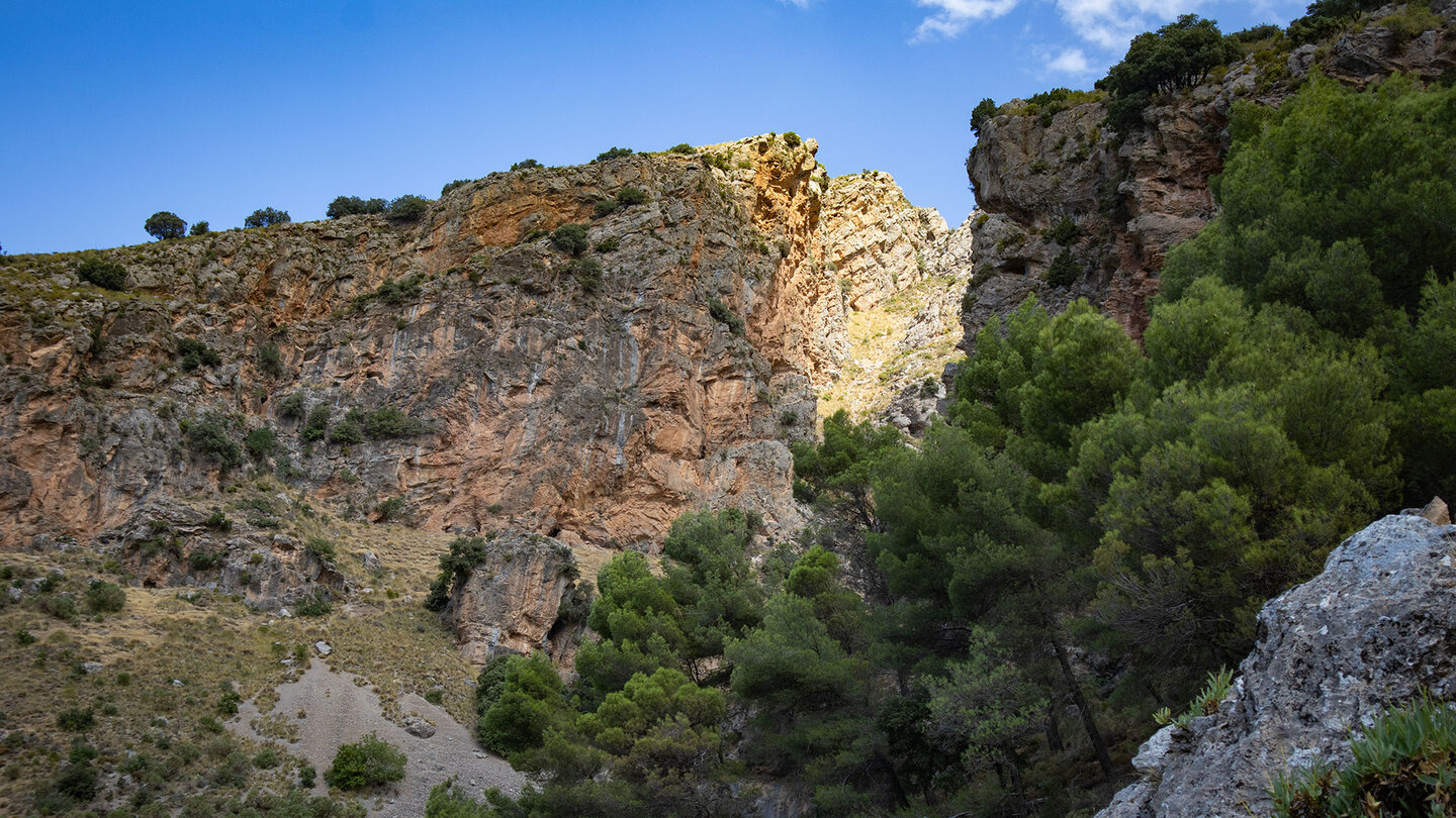 Schlucht Barranco del Buho