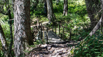 am Felsenweg des Feldberg