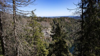 Blick vom Felsenweg auf die Felswand am Feldsee