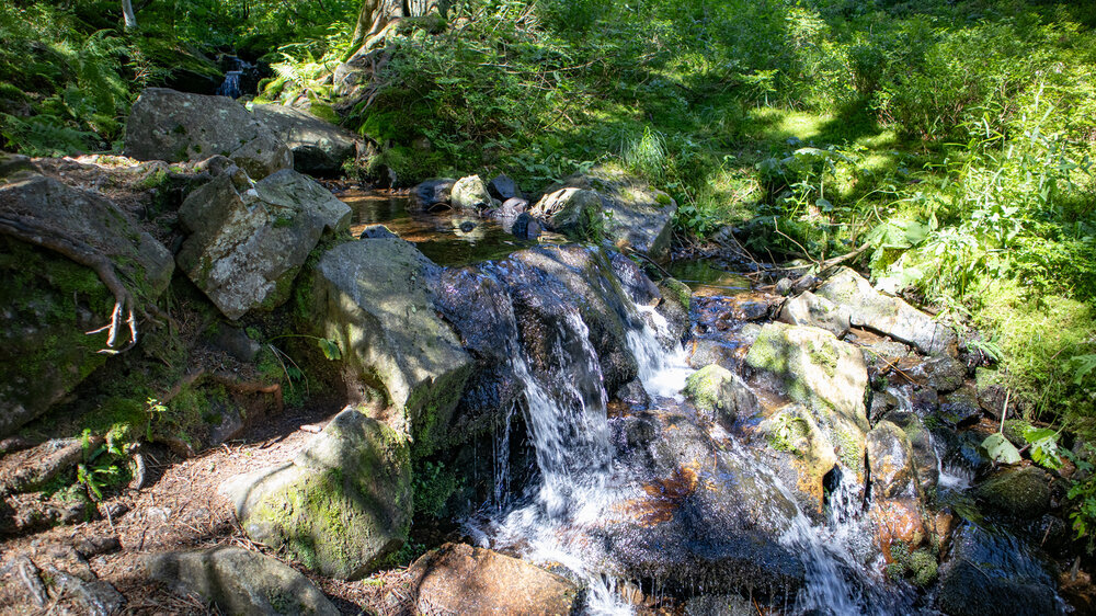 Der Seebach am Feldberg