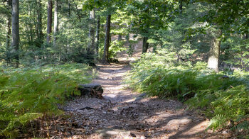 Wanderweg zum Klingelfels