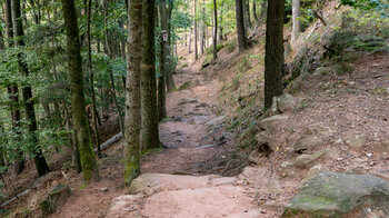 auf dem Wanderweg zur Burg Wasigenstein