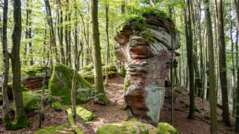 die Wanderung verläuft entlang des Sandsteinriffs Altes Heer