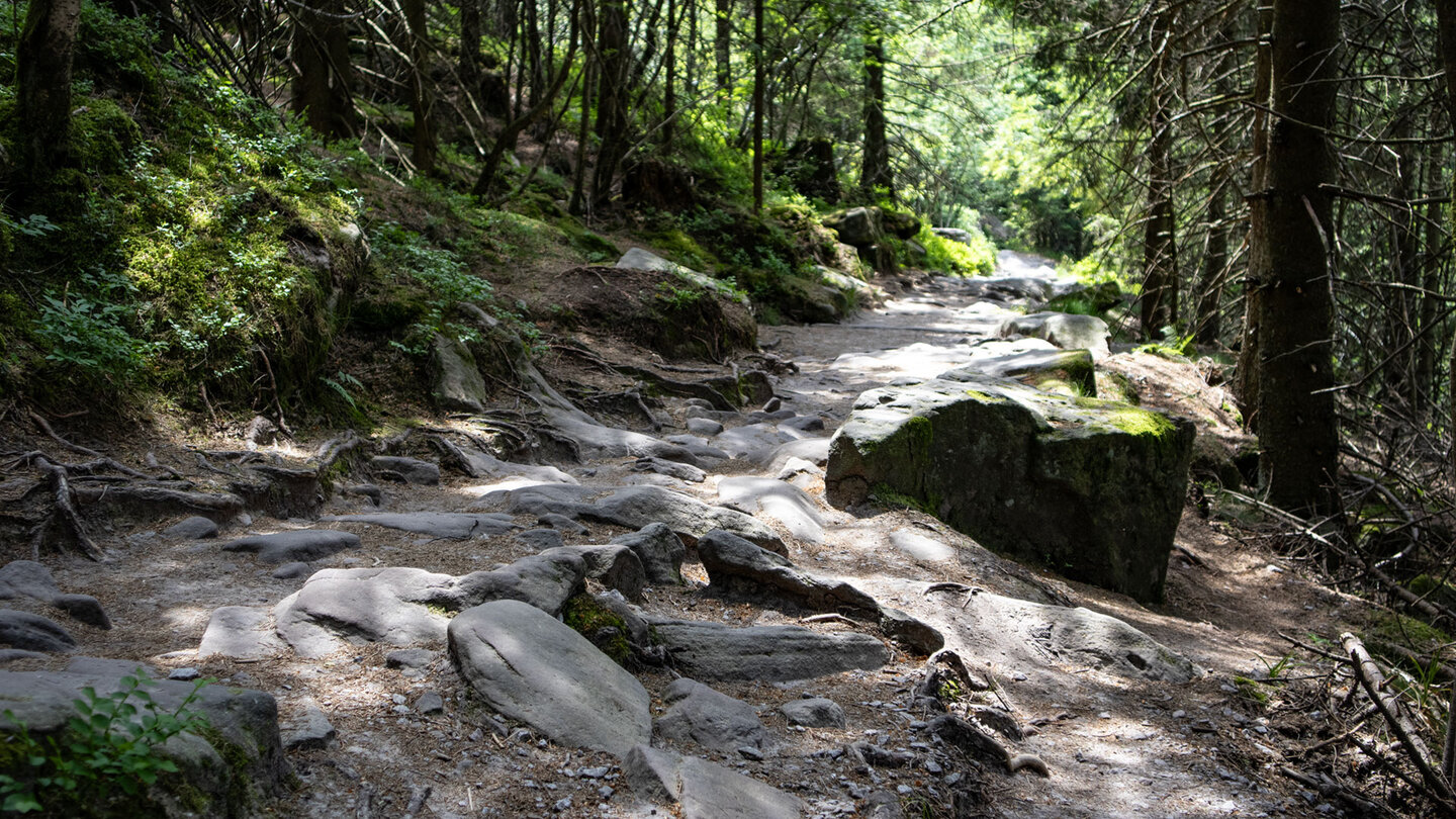 Wanderweg auf die Hornisgrinde