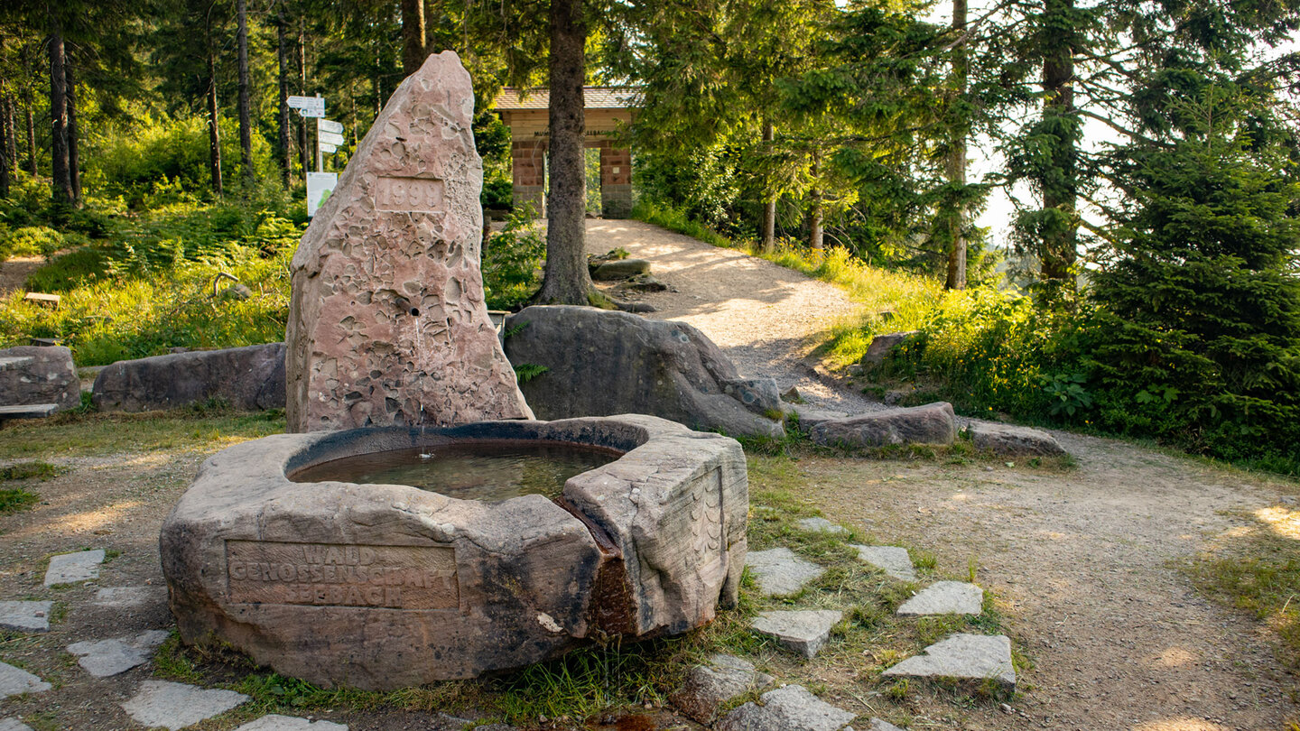 Brunnen am Mummelsee