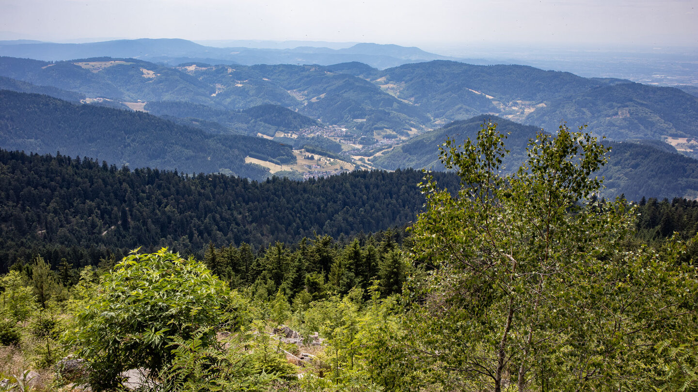 Ausblick von der Hornisgrinde nach Seebach