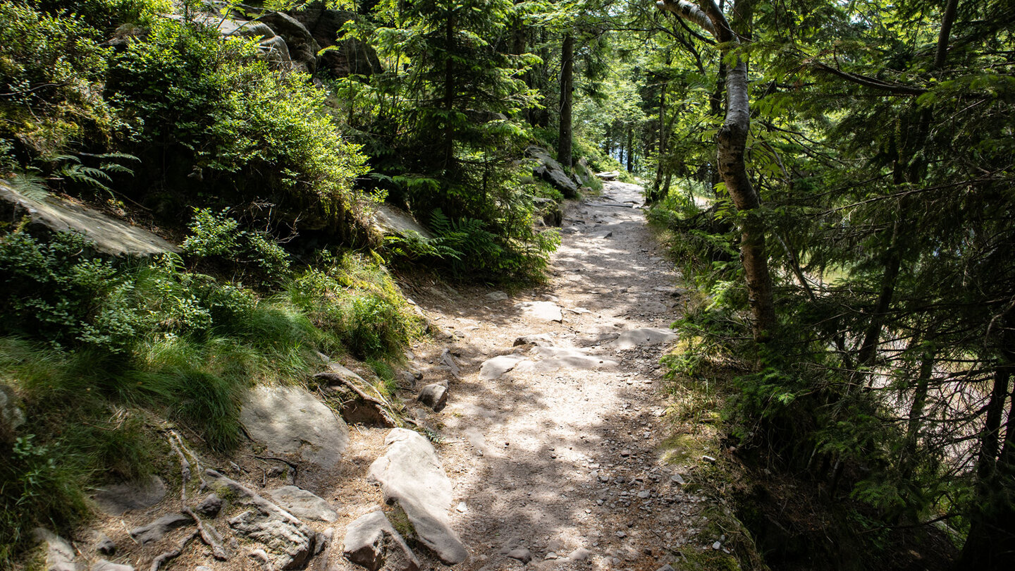 Wanderweg Hornisgrinde