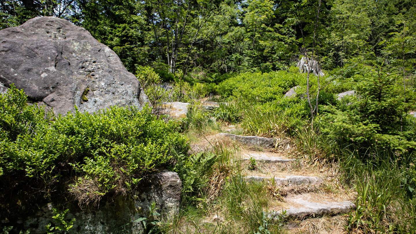 Weggabelung Katzenkopf auf der Hornisgrinde