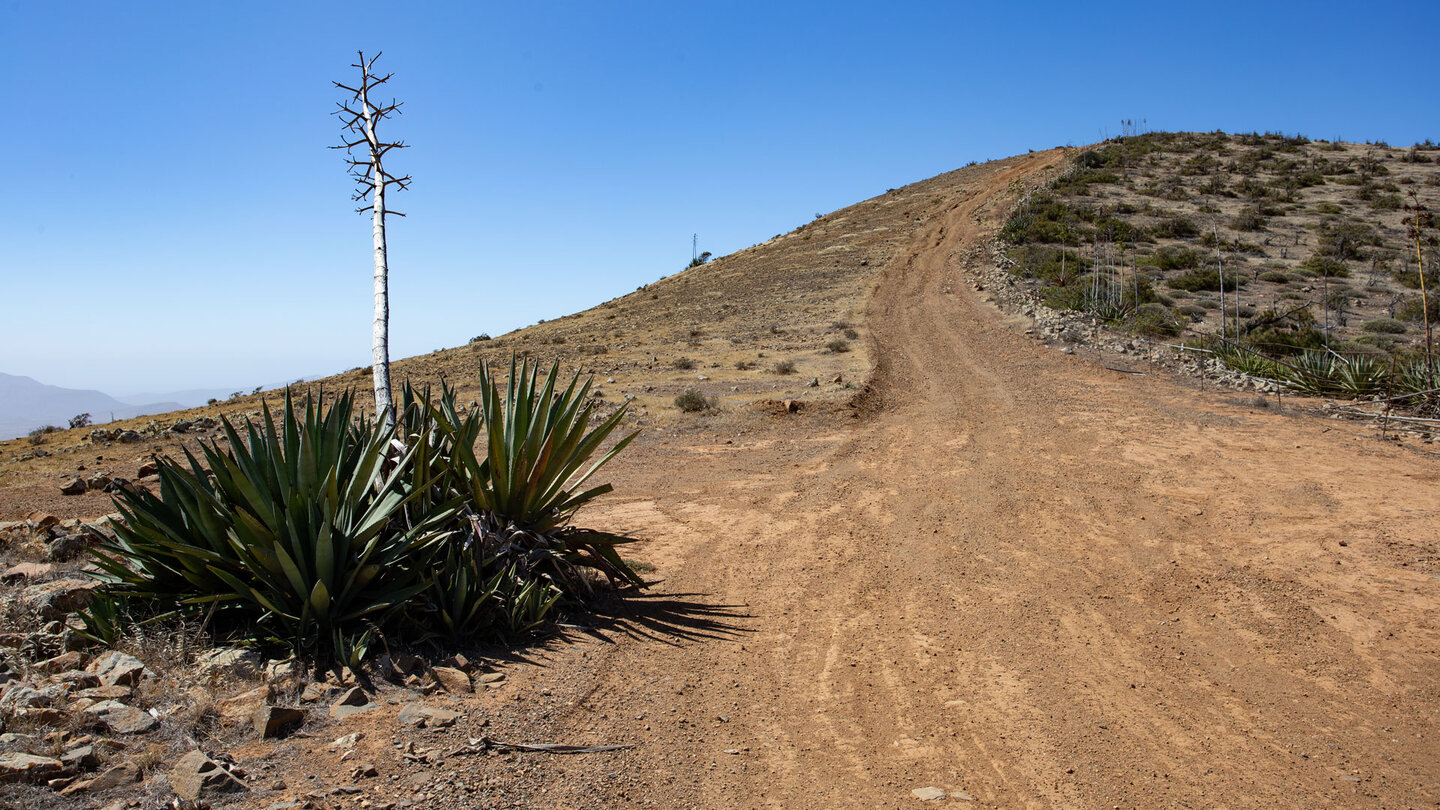 der Wanderweg führt auf und ab über die Bergrücken bei Betancuria