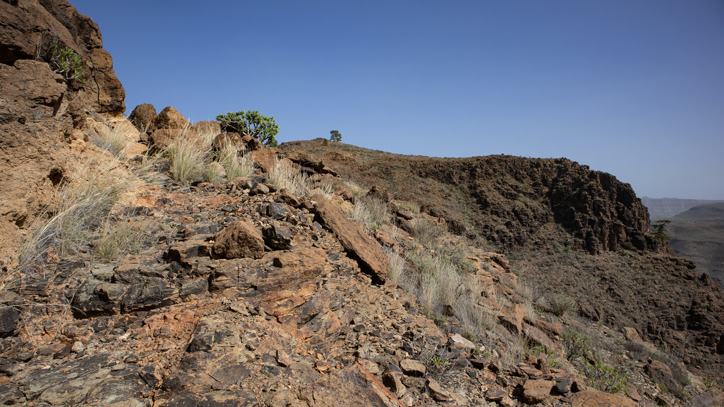 Wanderpfad in die Schlucht Barranco de Tauro