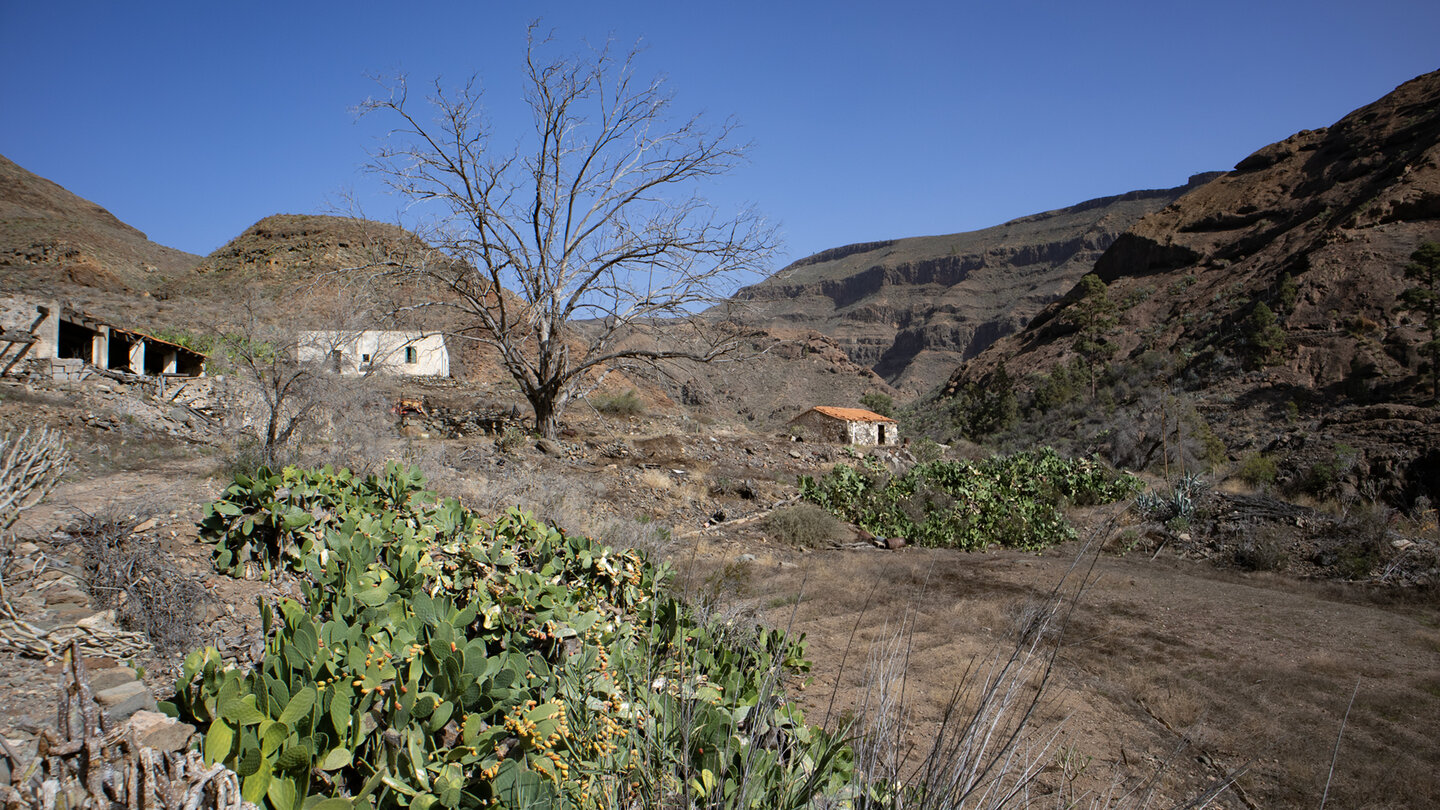 verlassene Gärtnerei in der Tauro-Schlucht