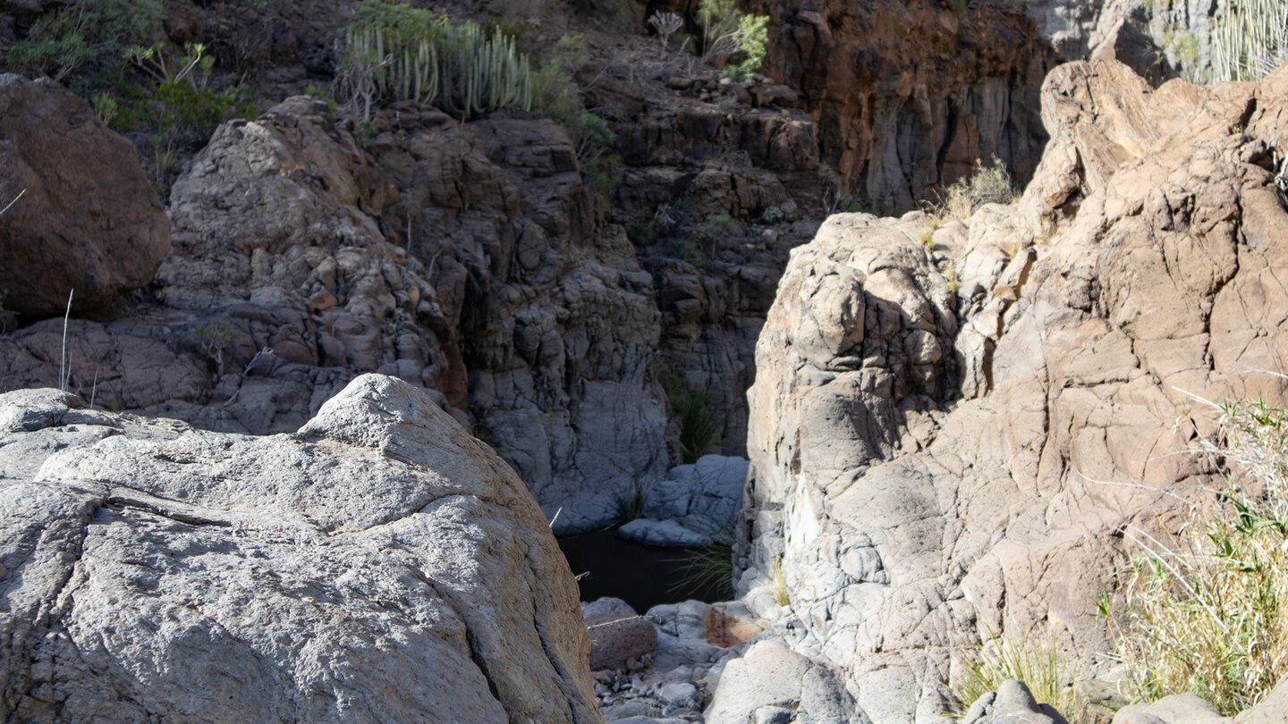 Wassergumpen im Barranco de Tauro